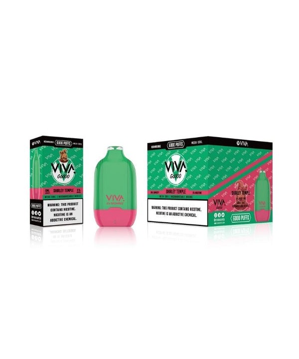 Viva G6000 Rechargeable Disposable Vape Pen