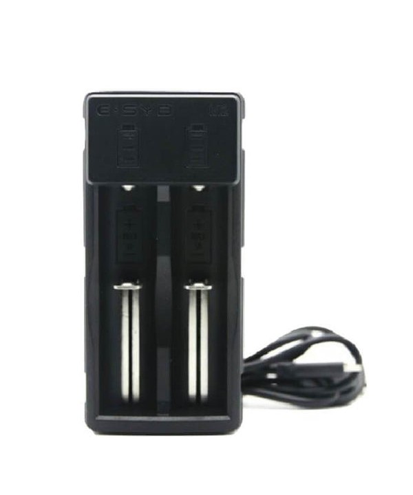ESYB M2 2-Bay High Drain Battery Charger